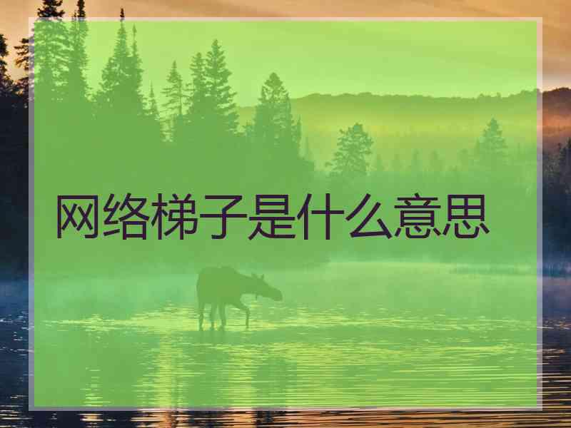 网络梯子是什么意思